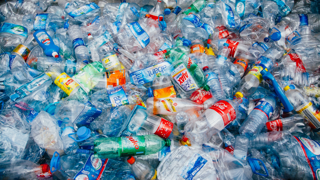 Hidden Plastics…the disruption and problems they can cause our bodies