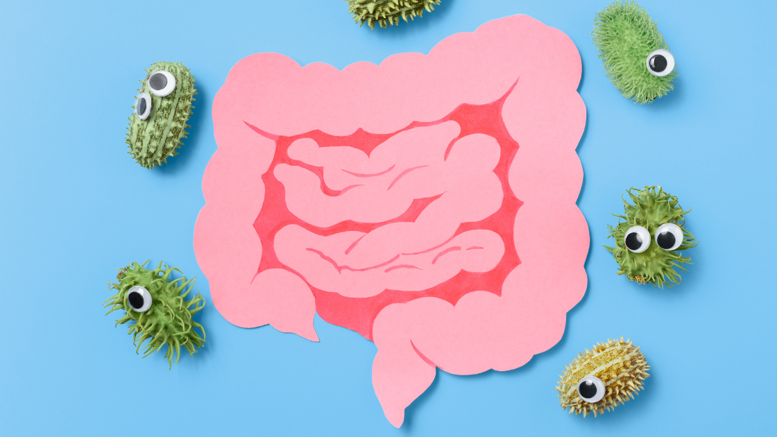 How your gut health affects your immune system…