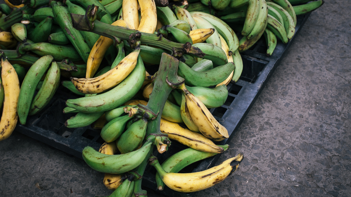 Plantain Pancakes (Lectin Free!)