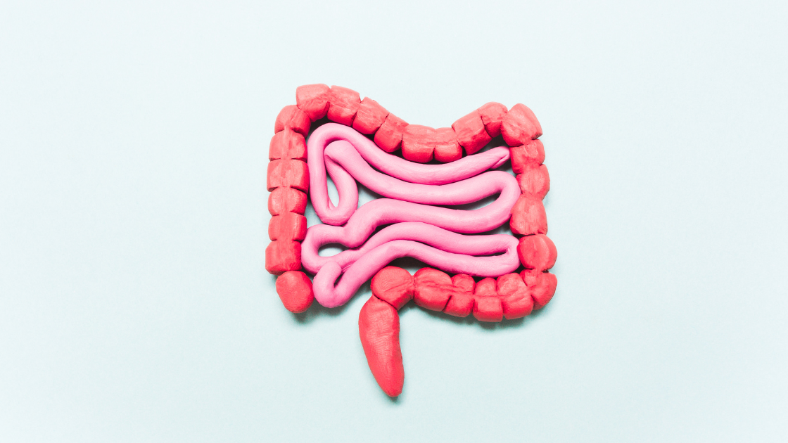 Gastrointestinal Disorders